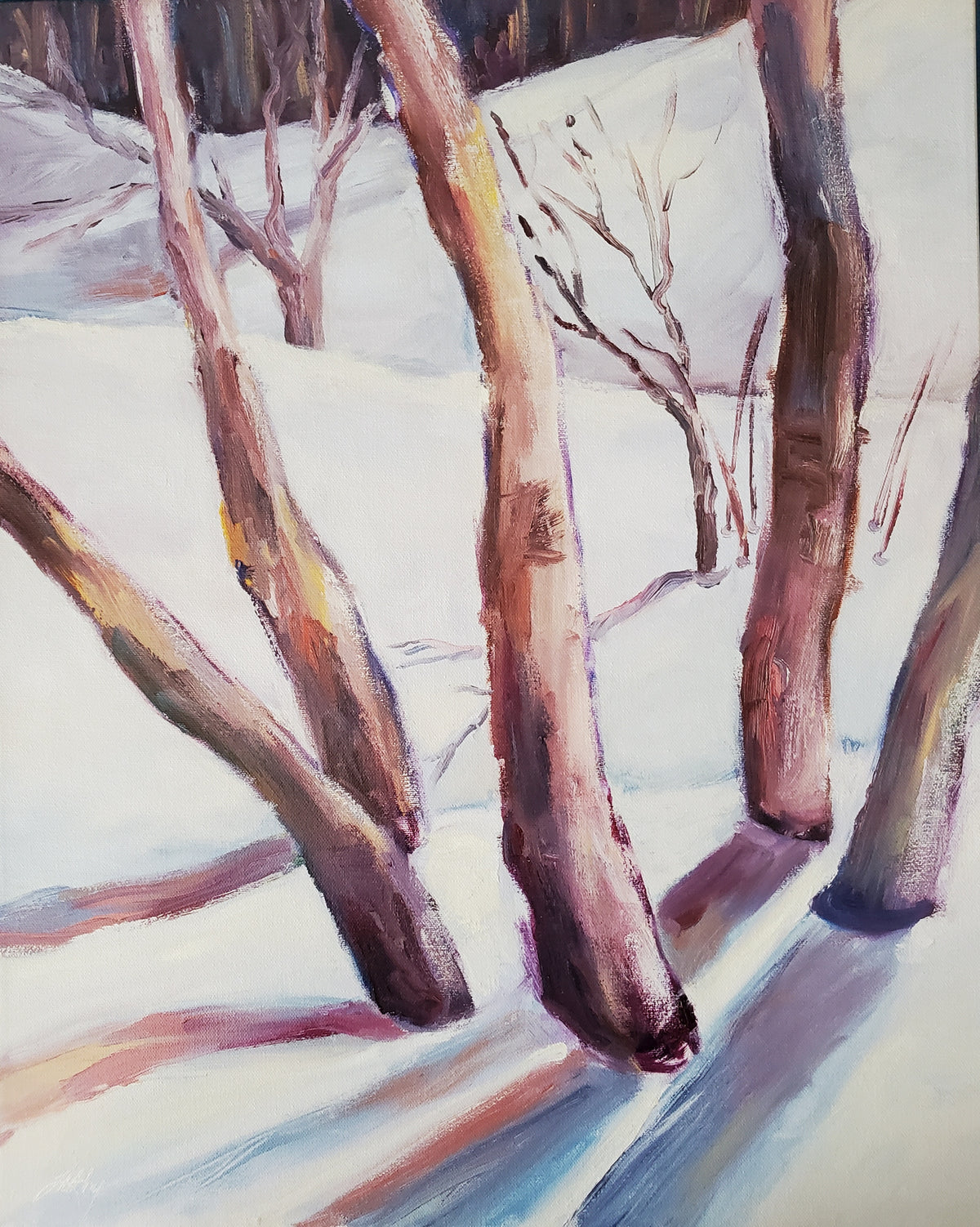 Winter Reflection #1 16" x 20". Canvas Print; Ready to hang