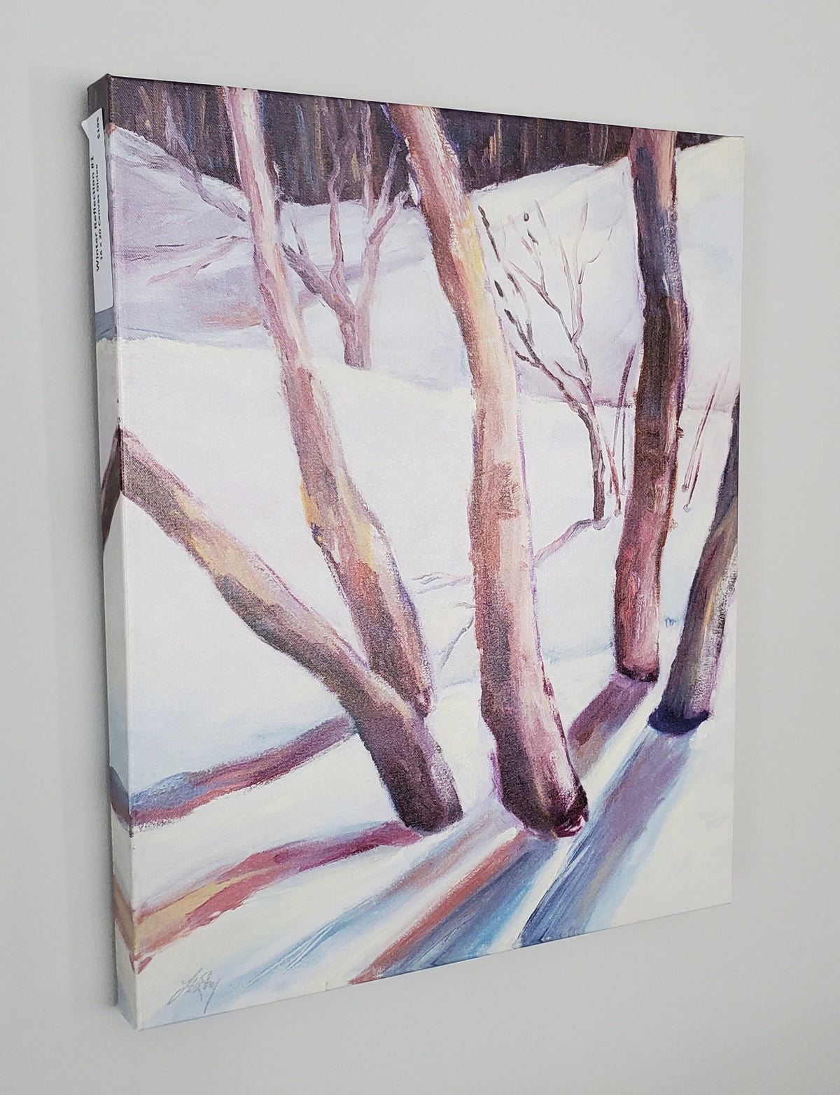 Winter Reflection #1 16" x 20". Canvas Print; Ready to hang