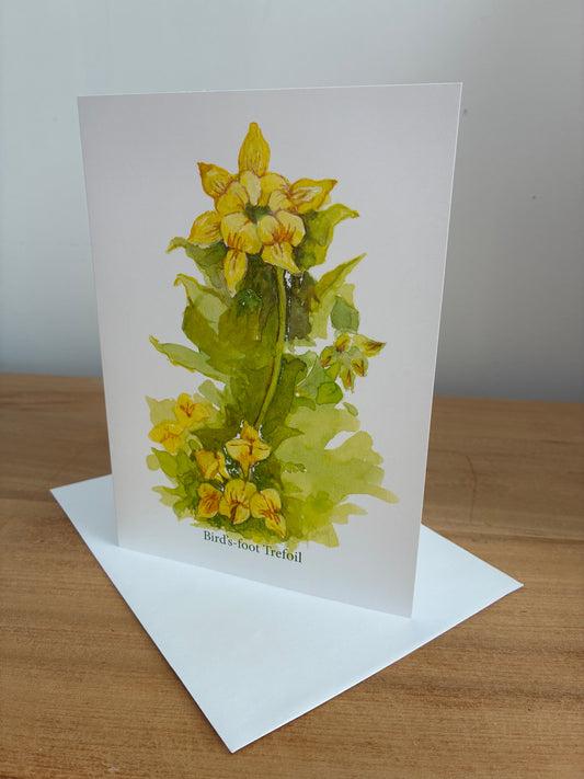 Bird's Foot Trefoil - Art Card