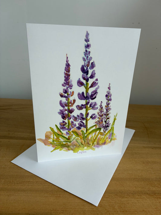 Lupins - Art Card