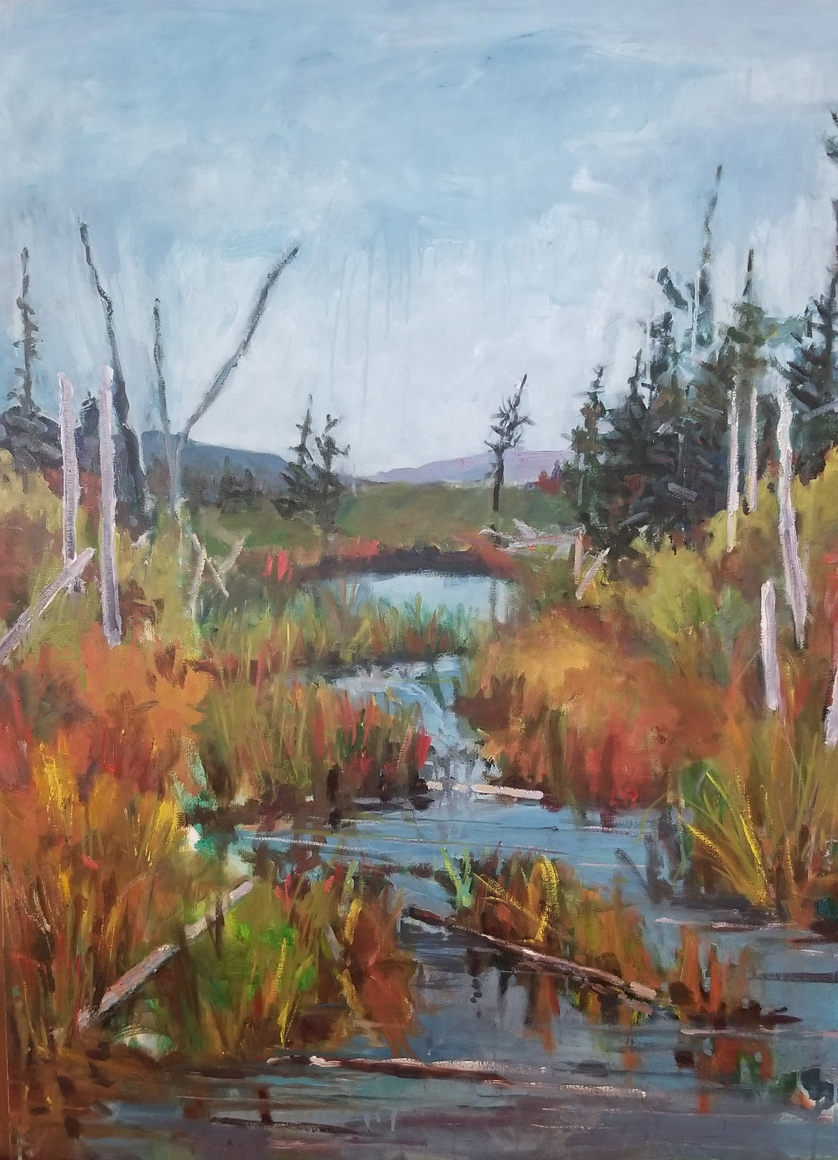 Somewhere near Mt. Pearl